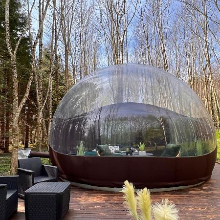 Logement Insolite "Bubble Jungle" Saint-Evarzec Bagian luar foto