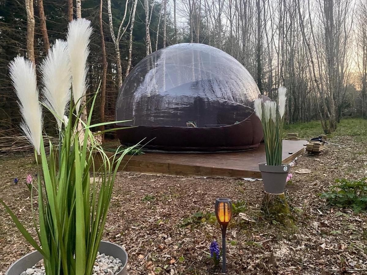 Logement Insolite "Bubble Jungle" Saint-Evarzec Bagian luar foto