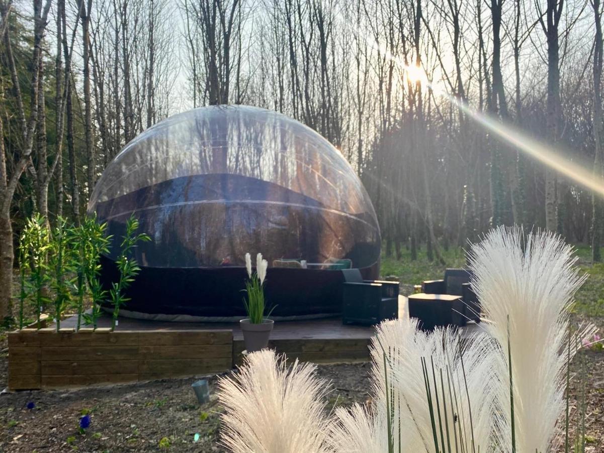 Logement Insolite "Bubble Jungle" Saint-Evarzec Bagian luar foto