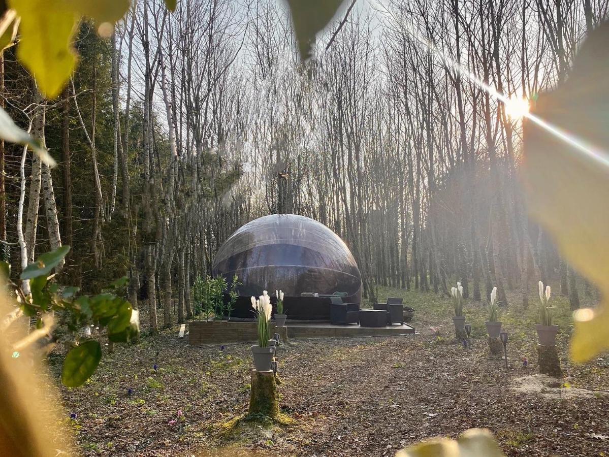 Logement Insolite "Bubble Jungle" Saint-Evarzec Bagian luar foto