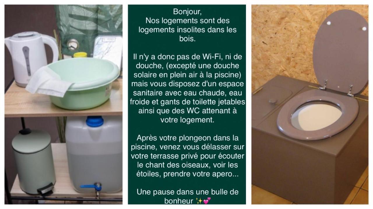 Logement Insolite "Bubble Jungle" Saint-Evarzec Bagian luar foto